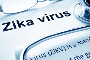 zika-virus-508545476